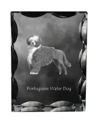 portugalski-pies-dowodny-krysztal-ze-zdjeciem-psa-szklana-statuetka-ze-z