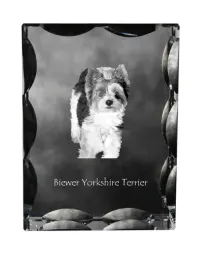 biewer-yorkshire-terrier-krysztal-ze-zdjeciem-psa-szklana-statuetka-ze-z