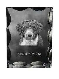 hiszpanski-pies-wodny-krysztal-ze-zdjeciem-psa-szklana-statuetka-ze-zdje