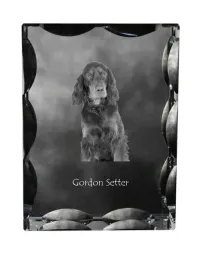 seter-szkocki-gordon-setter-krysztal-ze-zdjeciem-psa-szklana-statuetka