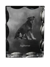 niemiecki-terier-mysliwski-jagdterrier-krysztal-ze-zdjeciem-psa-szklana