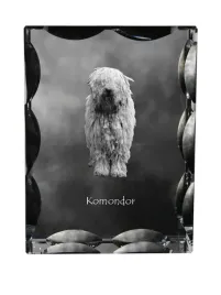 komondor-krysztal-ze-zdjeciem-psa-szklana-statuetka-ze-zdjeciem-wyjatko