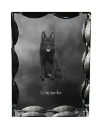 schipperke-krysztal-ze-zdjeciem-psa-szklana-statuetka-ze-zdjeciem-wyjat