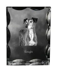 chart-perski-saluki-krysztal-ze-zdjeciem-psa-szklana-statuetka-ze-zdjec