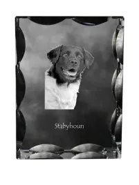 wyzel-fryzyjski-stabyhoun-krysztal-ze-zdjeciem-psa-szklana-statuetka-ze