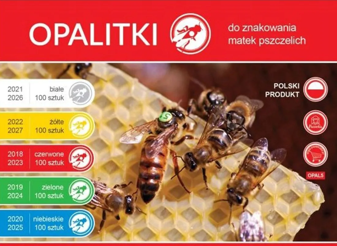 opalitki-polskie-5-lat