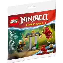 lego-30650-ninjago-bitwa-kaia-i-raptona-w-swiatyni
