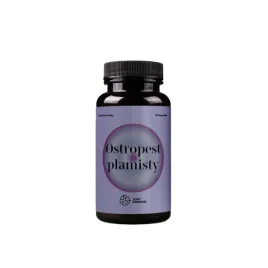 ostropest-plamisty-regeneracja-watroby-detox-trawienie-jemy-zdrowo-60