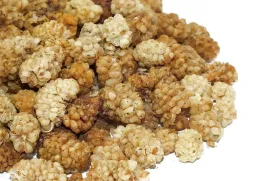 suszone-owoce-morwy-bialej-1-kg-duza-paka-morwa-skworcu