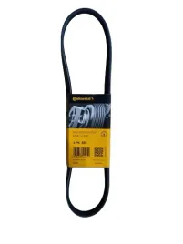 continental-4pk855-pasek-klinowy-wielorowkowy