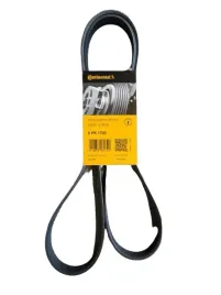 continental-6pk1705-pasek-klinowy-wielorowkowy