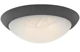 plafon-westinghouselighting-6308940