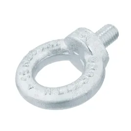 sruba-z-uchem-m12-ocynk-din-580-1-szt