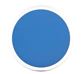 czujnik-temperatury-blue-maestro-tempo-disc