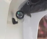 kamera-ip-kerbl-10812-model-10812