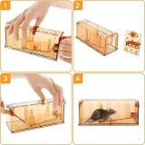 pulapka-przeciwko-gryzacy-stan-powystawowy