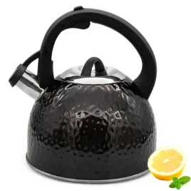 czajnik-stalowy-3l-stal-nierdzewna-na-gaz-indukcje-z-gwizdkiem