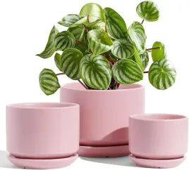 doniczki-ceramiczne-zestaw-trzech-sztuk-donic-na-rosliny-do-domu