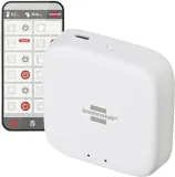 modul-brennenstuhl-bramka-rodzaj-modul