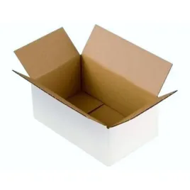 karton-klapowy-pudelko-opakowanie-346x166x172-mm-3w-360g-m2-bialy-1-szt