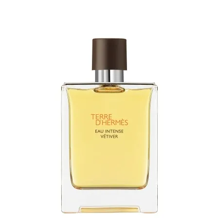 hermes-terre-eau-intense-vetiver-edp-100-ml
