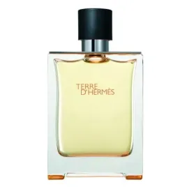 hermes-terre-d-hermes-woda-toaletowa-100-ml