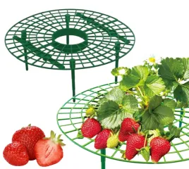 stojak-na-truskawki-30cm-podpora-truskawek-poziomek-czyste-zdrowe-owoce