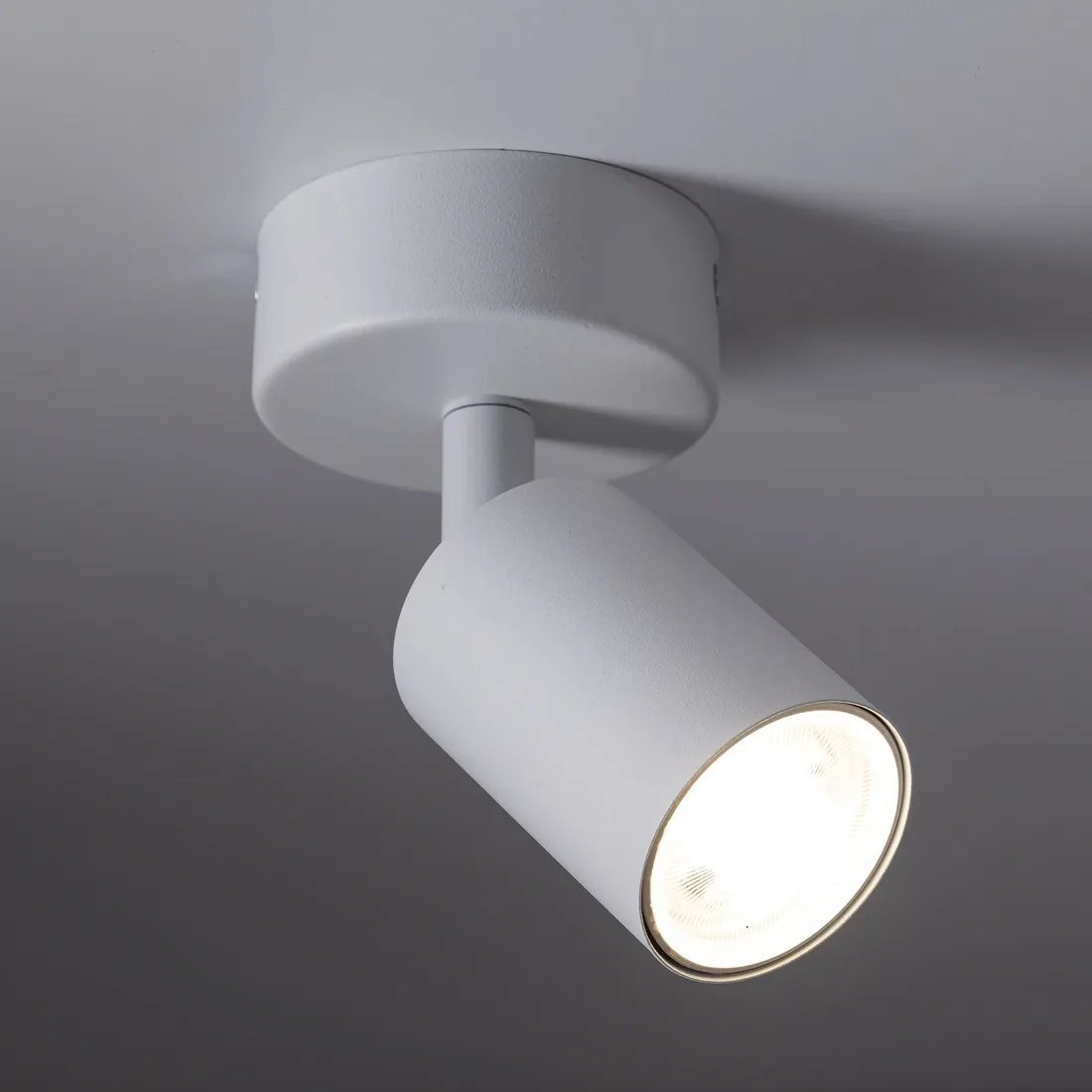 spot-tk-lighting-nex-bialy-1xgu10