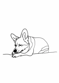 plakat-50x70cm-spiacy-corgacz