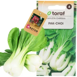 kapusta-pak-choi-chinska-1g-nasiona-kapusty-chinskiej-toraf-do-salatek