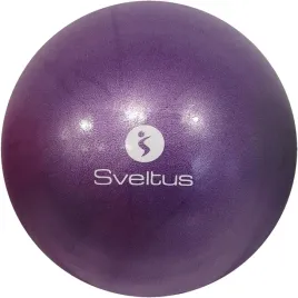 pilka-do-balansowania-sveltus-25-cm-roze-i-fiolety