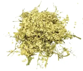 kwiat-czarnego-bzu-nieotarty-50-g-100percent-naturalny