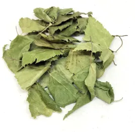 lisc-brzozy-caly-1-kg-100percent-naturalny-sklep