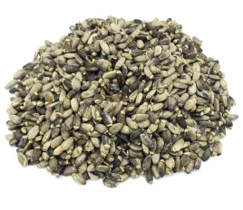ostropest-plamisty-ziarna-ostropestu-1-kg-100percent
