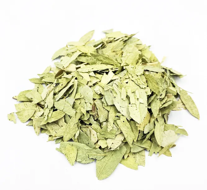 SENES LIŚĆ SENESU CAŁY 1 KG 100% NATURALNE WYSOKA JAKOŚĆ DO NAPARÓW HERBATY
