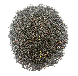 rzepak-nasiona-rzepaku-1-kg-naturalny-sklep