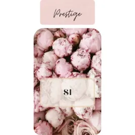 olejek-zapachowy-do-dyfuzora-prestige-si-500ml