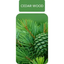 olejek-zapachowy-do-dyfuzora-cedar-wood-500ml-or-lesny-swiezy-zapach
