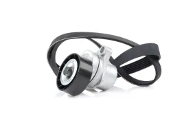 542r0006-ridex-zestaw-paska-klinowego-wielorowkowego-do-peugeot-307-3a-c