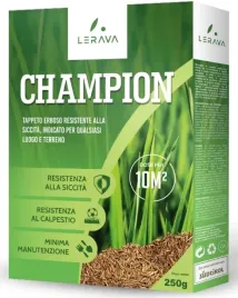 trawa-dekoracyjna-lerava-champion-10-m-250g