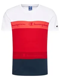 y3734-champion-t-shirt-ombre-stripe-215948-regular-fit-xs-s