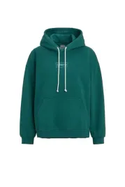 y4216-levis-graphic-caravan-hoodie-outline-b-bluza-damska-oversize-xs-s
