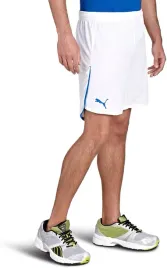 ah8050-meskie-spodenki-tsg-1899-hoffenheim-puma-xl