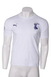 am1620-nowa-koszulka-dziecieca-t-shirt-puma-176