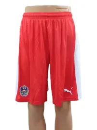 am1786-meskie-spodenki-pilkarskie-puma-austria-uk-l