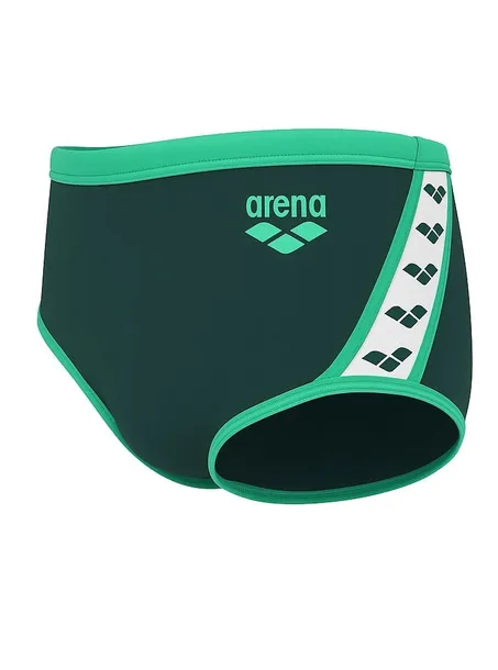 aM7348 KĄPIELÓWKI ARENA TEAM STRIPE LOW WAIST UK34