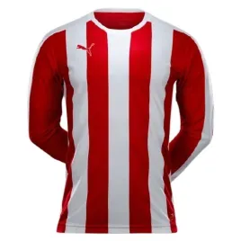 ah7803-meska-koszulka-sportowa-z-dlugim-rekawem-puma-xxl