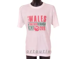 aq1083-meska-bawelniana-koszulka-t-shirt-quick-supporter-wales-m