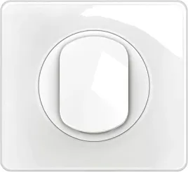 legrand-przelacznik-jedno-lub-dwupozycyjny-plytka-celiane-10-a