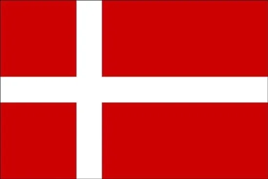 texas-pro-cut-460b-wertykulator-spalinowy-46cm-bs-stan-nowy-marka-texas